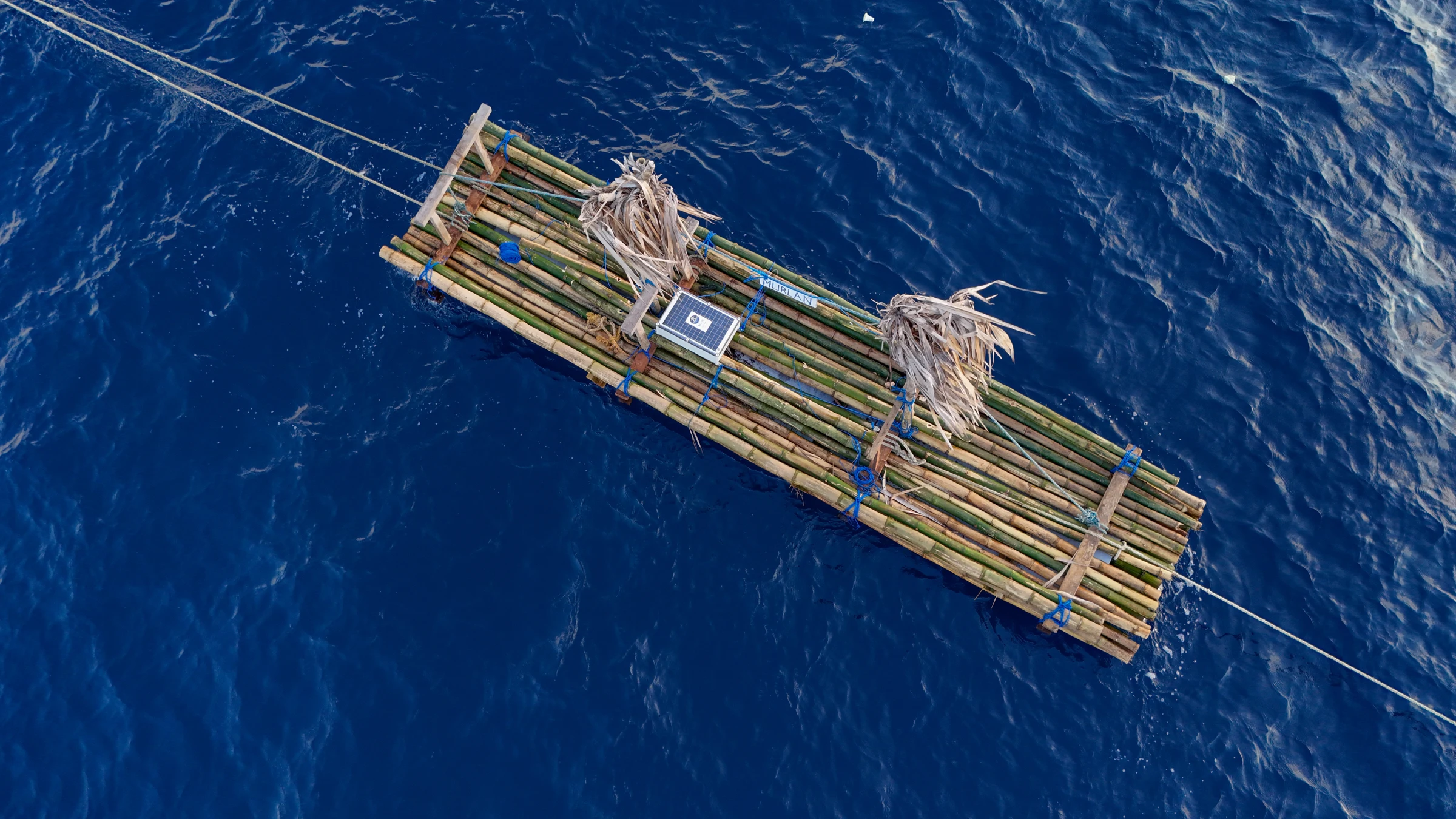 A Blu IQ device installed on a bamboo FAD in the open ocean