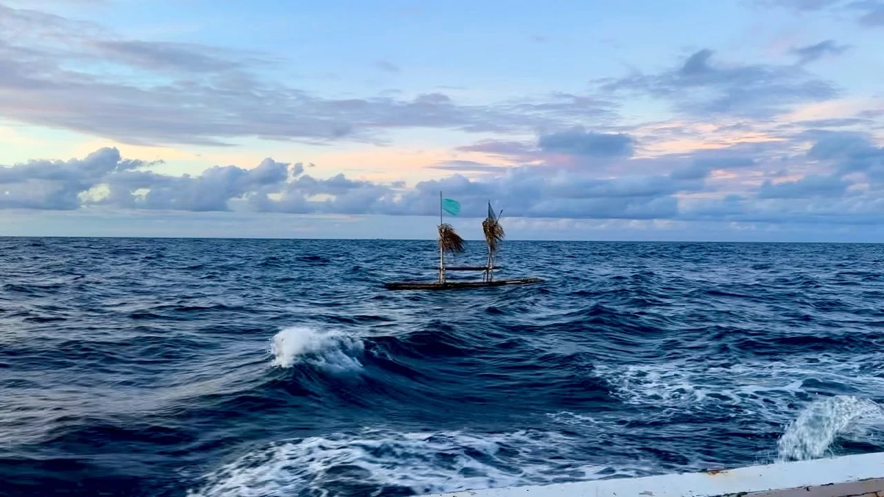 Approaching a bamboo FAD from a fishing boat